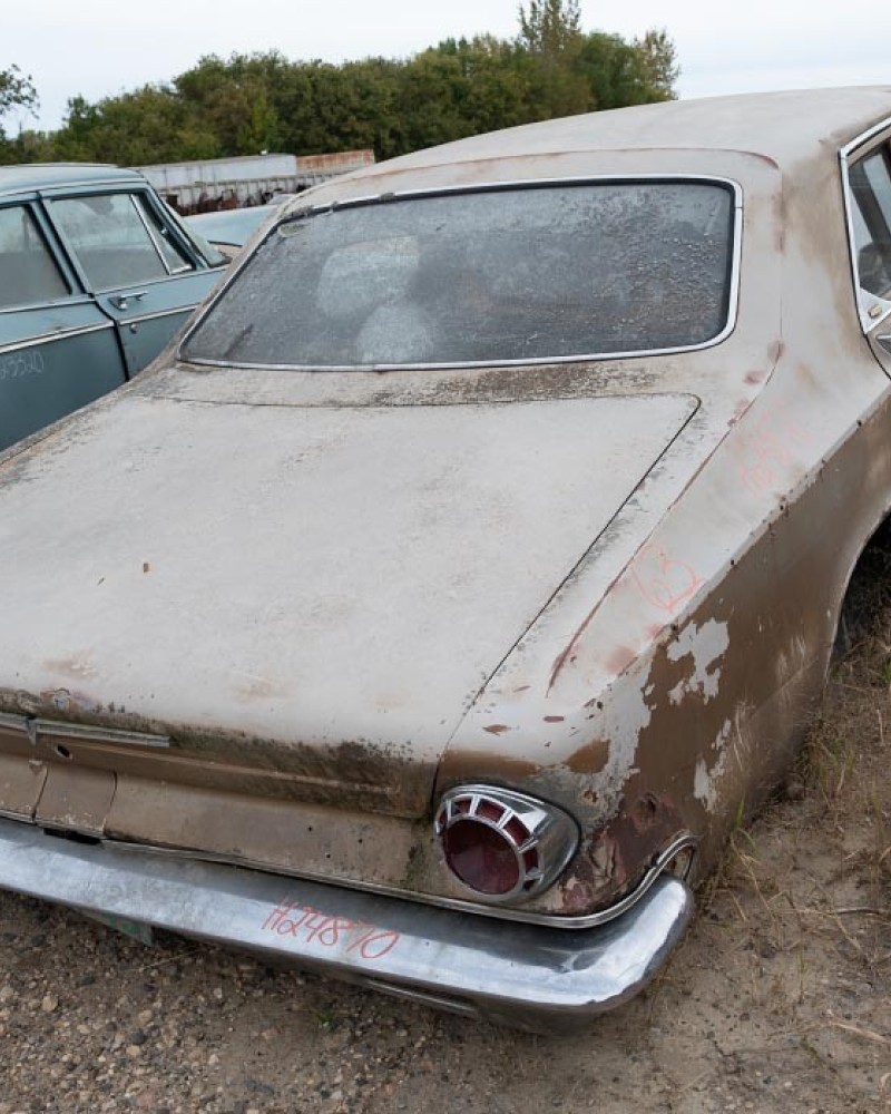 Driven Diary: Understated Elegance
